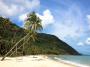 palm-tree-swing-koh-chang-lagoona-beach-bar